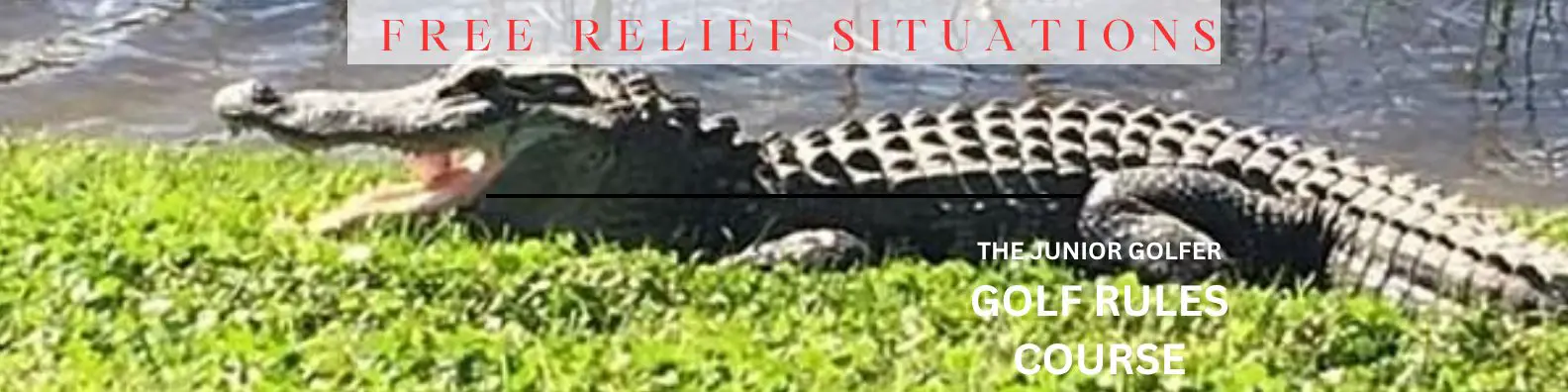 golf rules course free relief