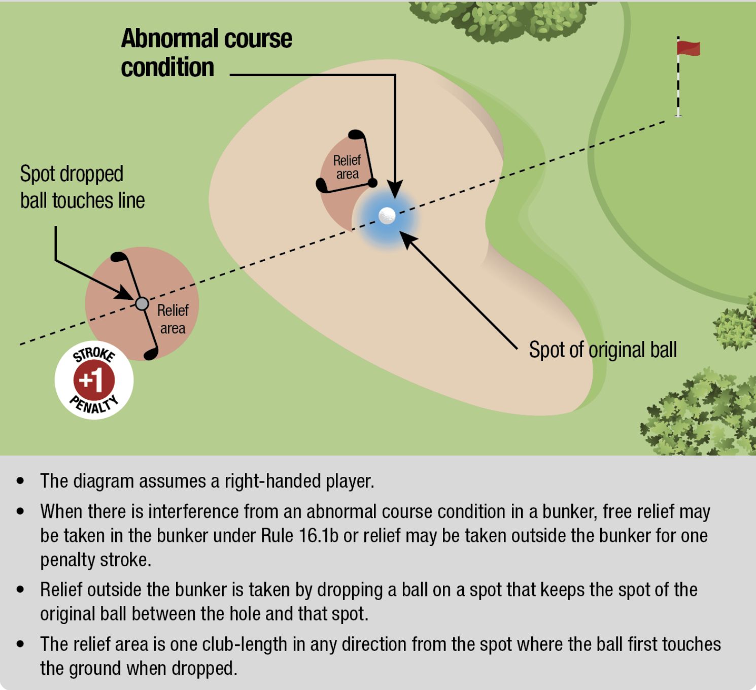 golf rules course abnormal conditions in bunker